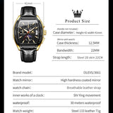 OLEVS Watches for Men 3661-JH-P