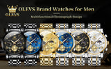 OLEVS Watches for Man 2859 Golden Black