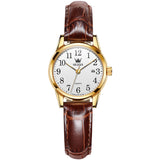 Brown Strap-White Dial Gold Trim