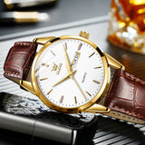 Brown Strap-White Dial Gold Trim