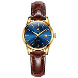 Brown Strap - Blue Dial Gold Trim