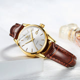 Brown Strap - White Dial Gold Trim