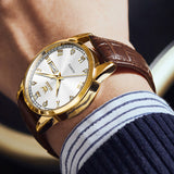 Brown Strap-White Dial Gold Trim