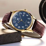 Brown Strap-Blue Dial Gold Trim