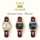 Brown Strap - Blue Dial Gold Trim