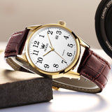 Brown Strap-White Dial Gold Trim