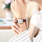 Brown Strap-White Dial Gold Trim