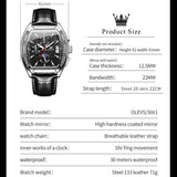 OLEVS Watches for Men 3661-BH-P