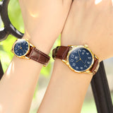 Brown Strap-Blue Dial Gold Trim