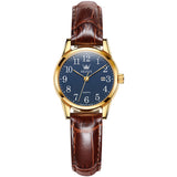 Brown Strap-Blue Dial Gold Trim