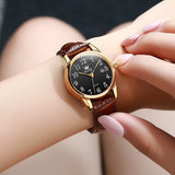 Brown Strap-Black Dial Gold Trim