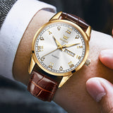 Brown Strap-White Dial Gold Trim